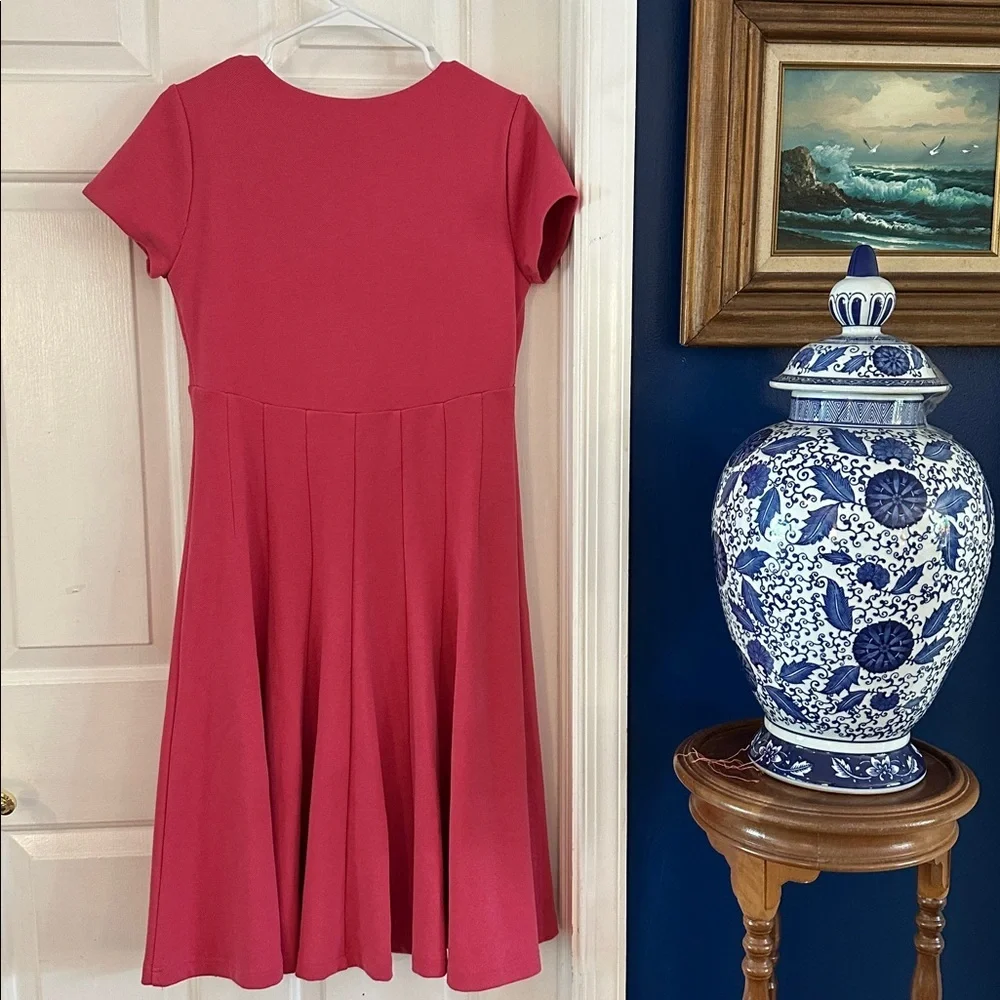 NWT Women’s by Anthropologie Lincoln Center Pink Fit & Flare Dress Size Medium